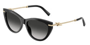 Tiffany & Co. TF4253 Black Sunglasses