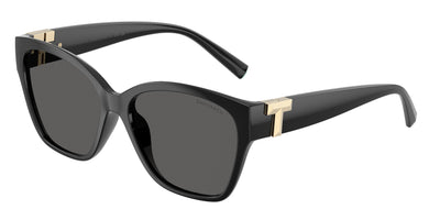 Tiffany & Co. TF4254U Sunglasses