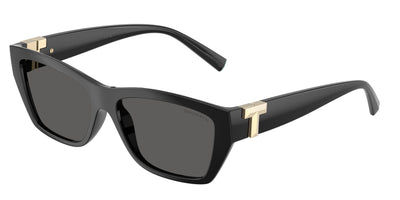 Tiffany & Co. TF4255U Sunglasses