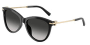 Tiffany & Co. TF4258BU Black Sunglasses