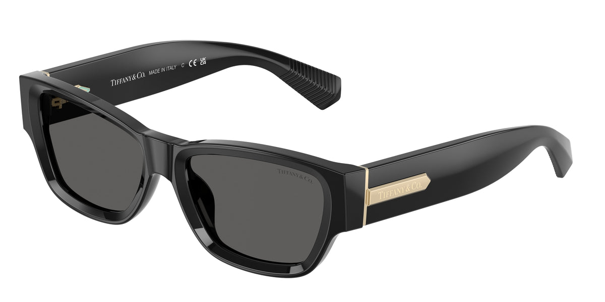 Tiffany & Co. TF4265U Black Sunglasses