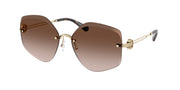 Tory Burch TY6111 Shiny Light Gold Sunglasses