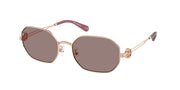 Tory Burch TY6113 Light Rose Gold Sunglasses
