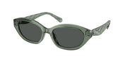 Tory Burch TY7232U Transparent Sage Sunglasses