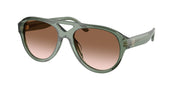 Tory Burch TY7233U Transparent Sage Sunglasses