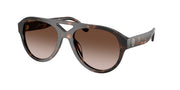 Tory Burch TY7233U Dark Tortoise Sunglasses