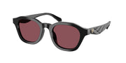 Tory Burch TY7235D Black Sunglasses
