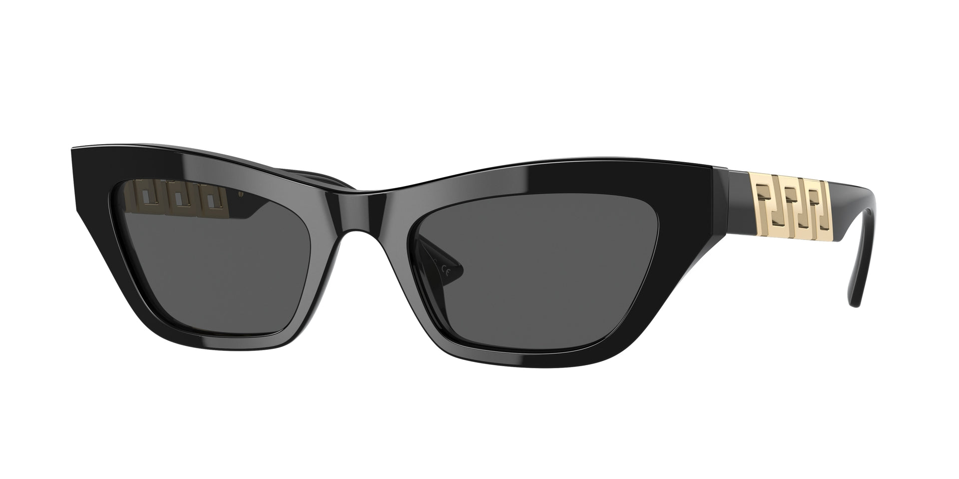 Versace VE4419 Black Sunglasses