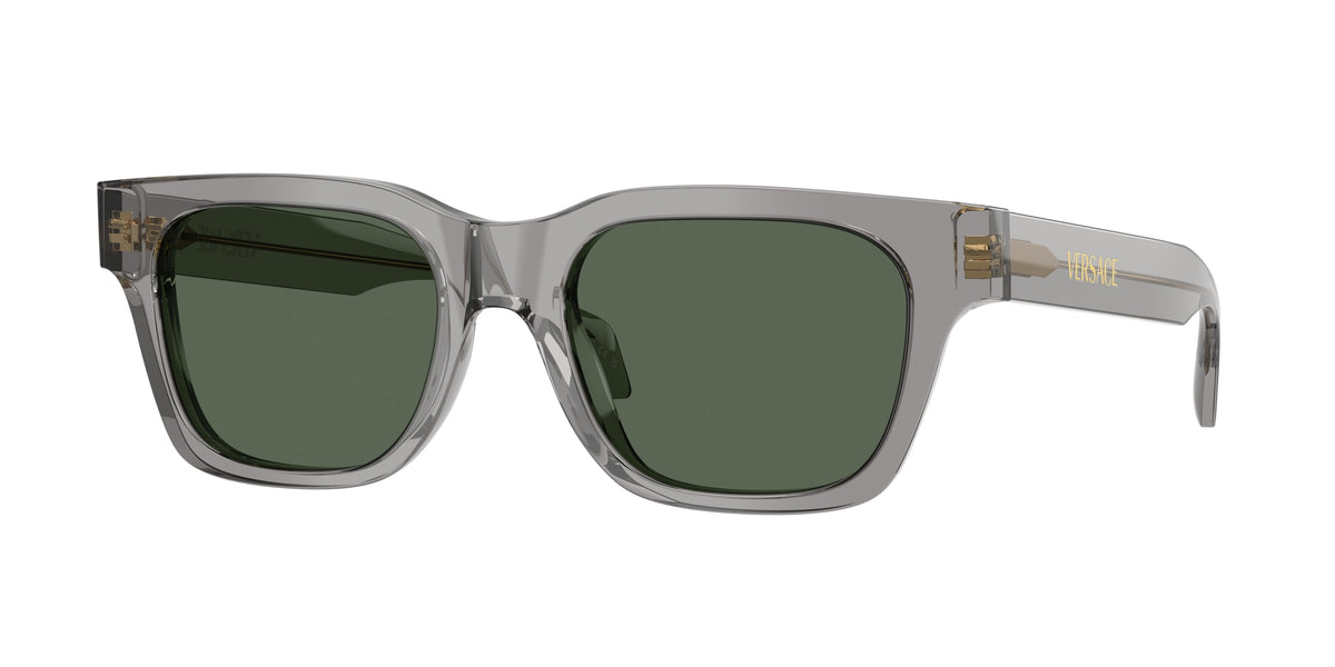 Versace VE4486F Dark Transparent Grey Sunglasses
