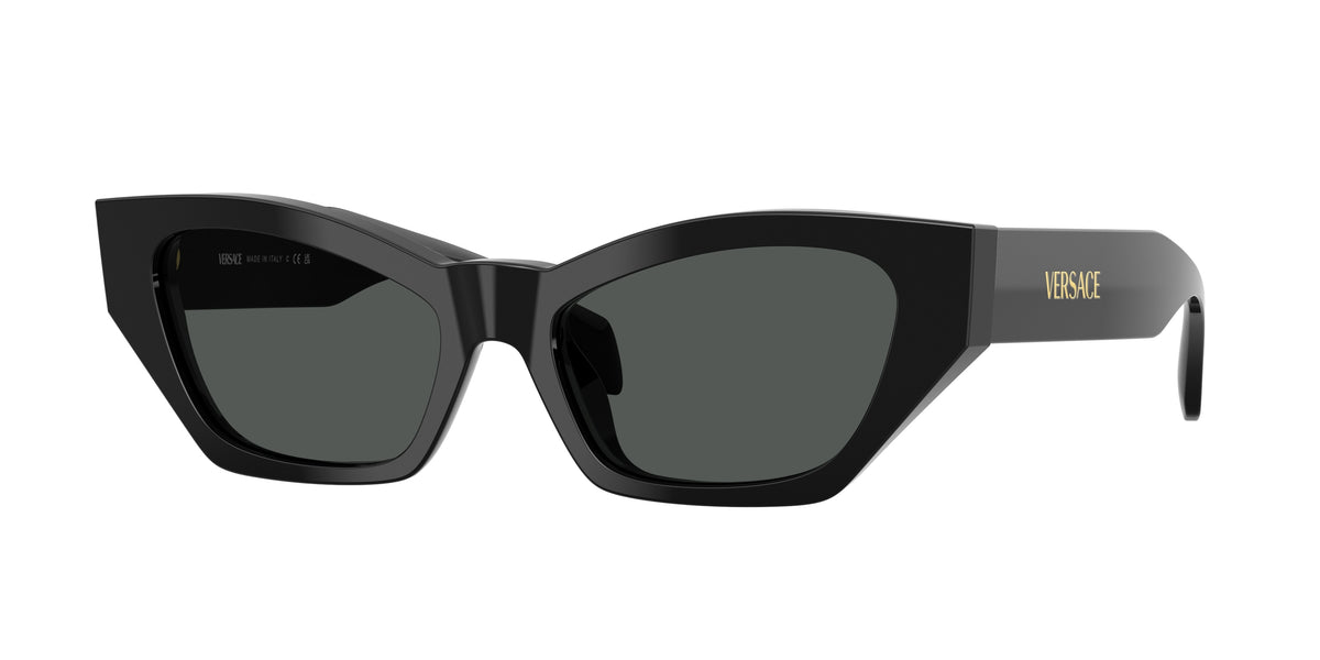 Versace VE4488U Black Sunglasses
