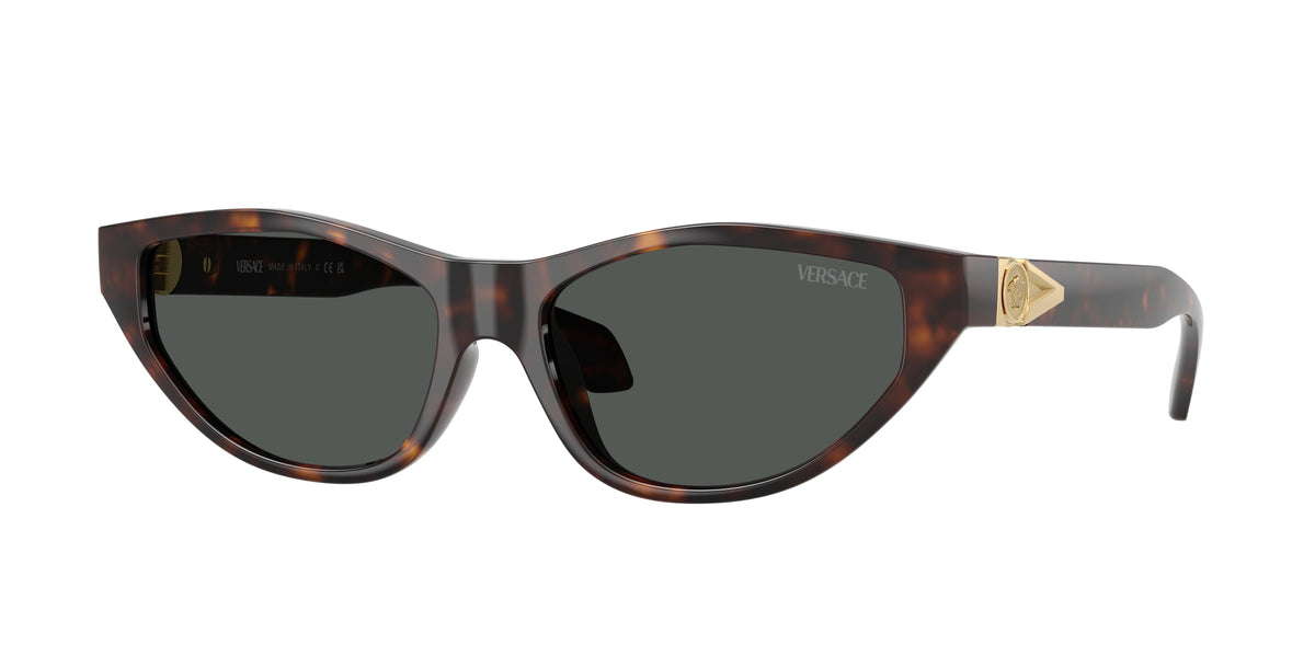Versace VE4491U Havana Sunglasses