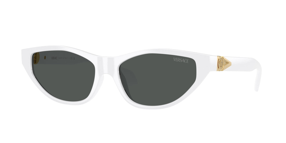 Versace VE4491U White Sunglasses