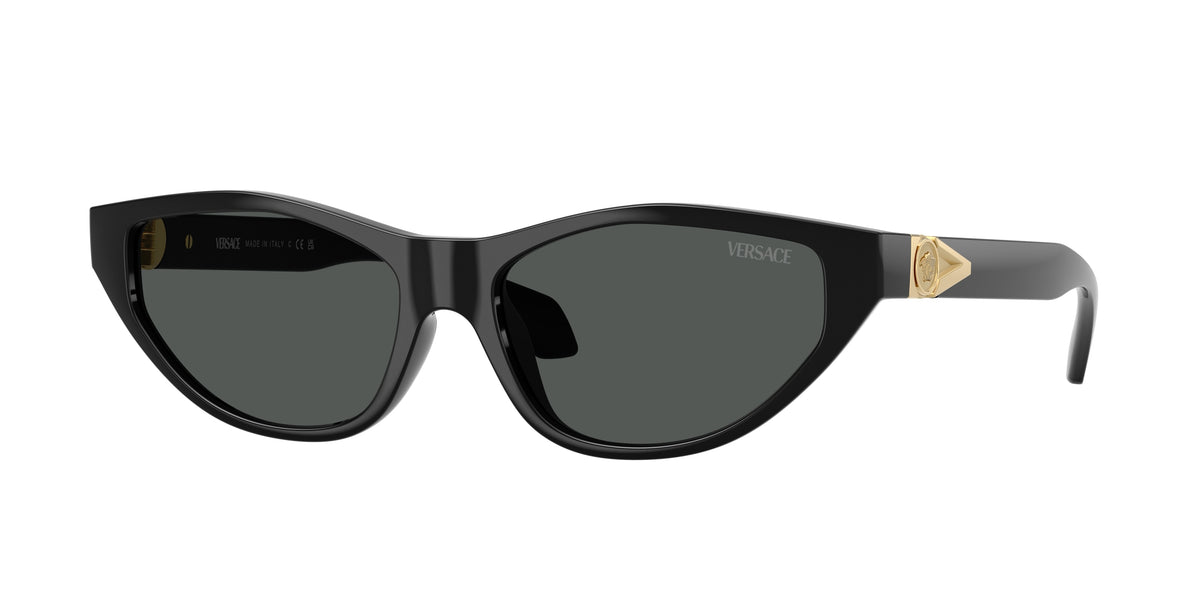 Versace VE4491U Black Sunglasses