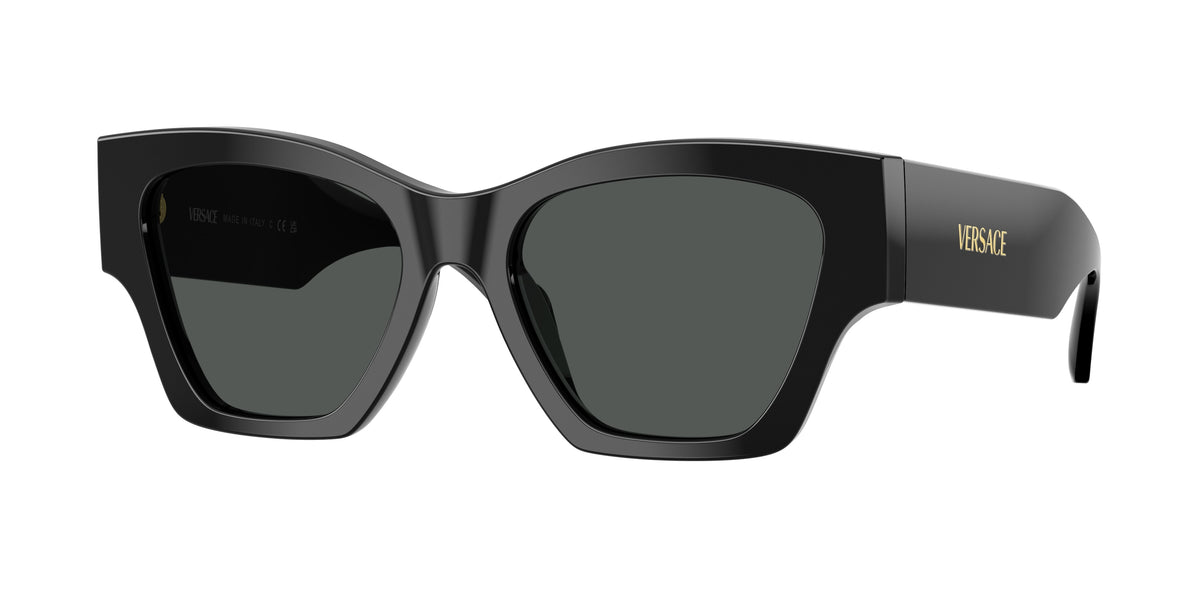 Versace VE4492U Black Sunglasses