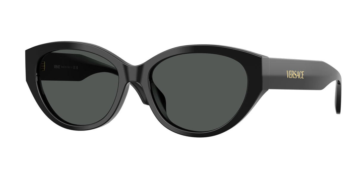 Versace VE4495D Black Sunglasses