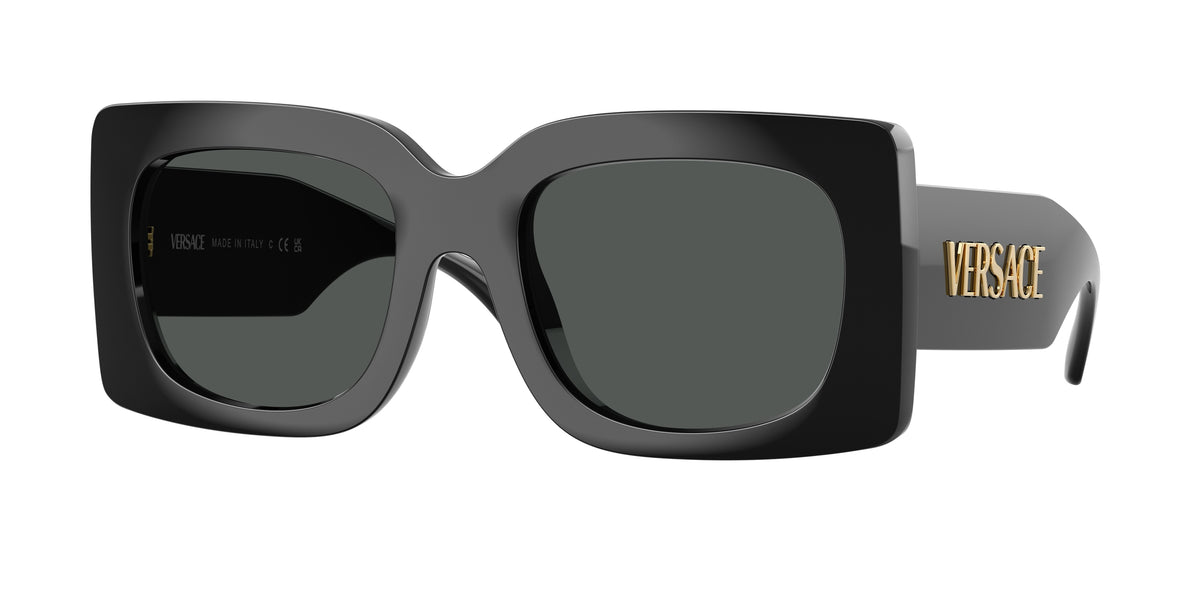Versace VE4496U Black Sunglasses