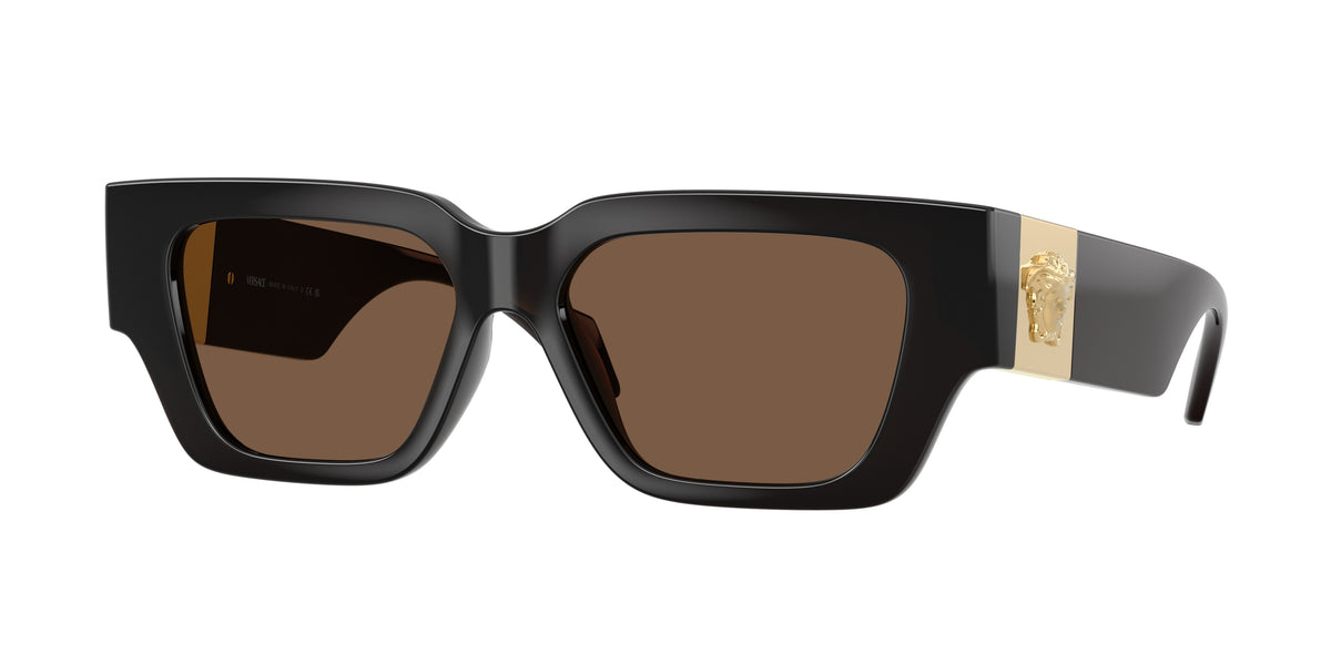 Versace VE4497U Transparent Brown Sunglasses
