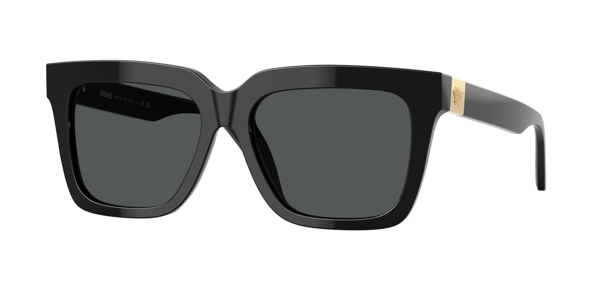 Versace VE4498 Black Sunglasses