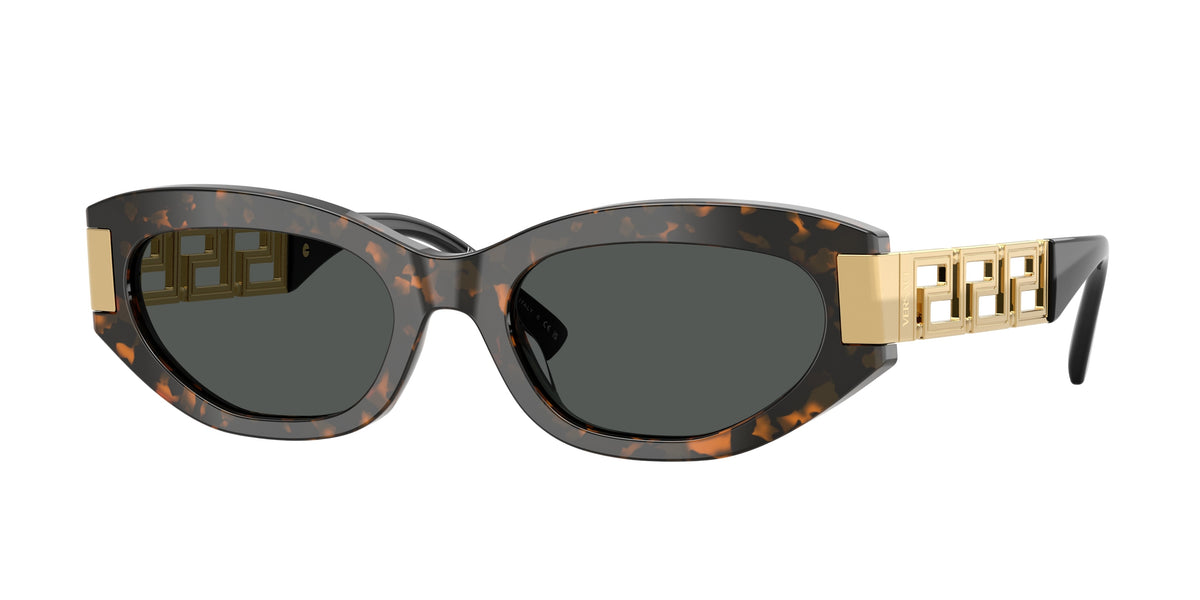 Versace VE4501 Brown Tortoise Sunglasses