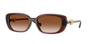 Versace VE4504D Transparent Brown Sunglasses