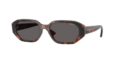 Vogue Eyewear VJ2034 Sunglasses
