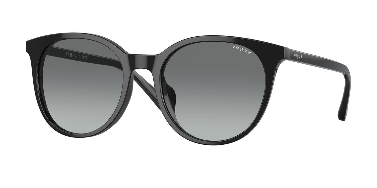 Vogue Eyewear VO5468SD Black Sunglasses