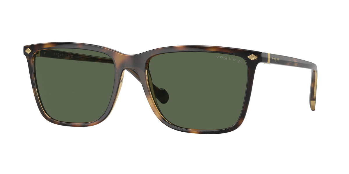 Vogue Eyewear VO5493S Total Dark Havana Sunglasses