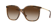 Vogue Eyewear VO5564S Top Dark Havana/Light Brown Sunglasses