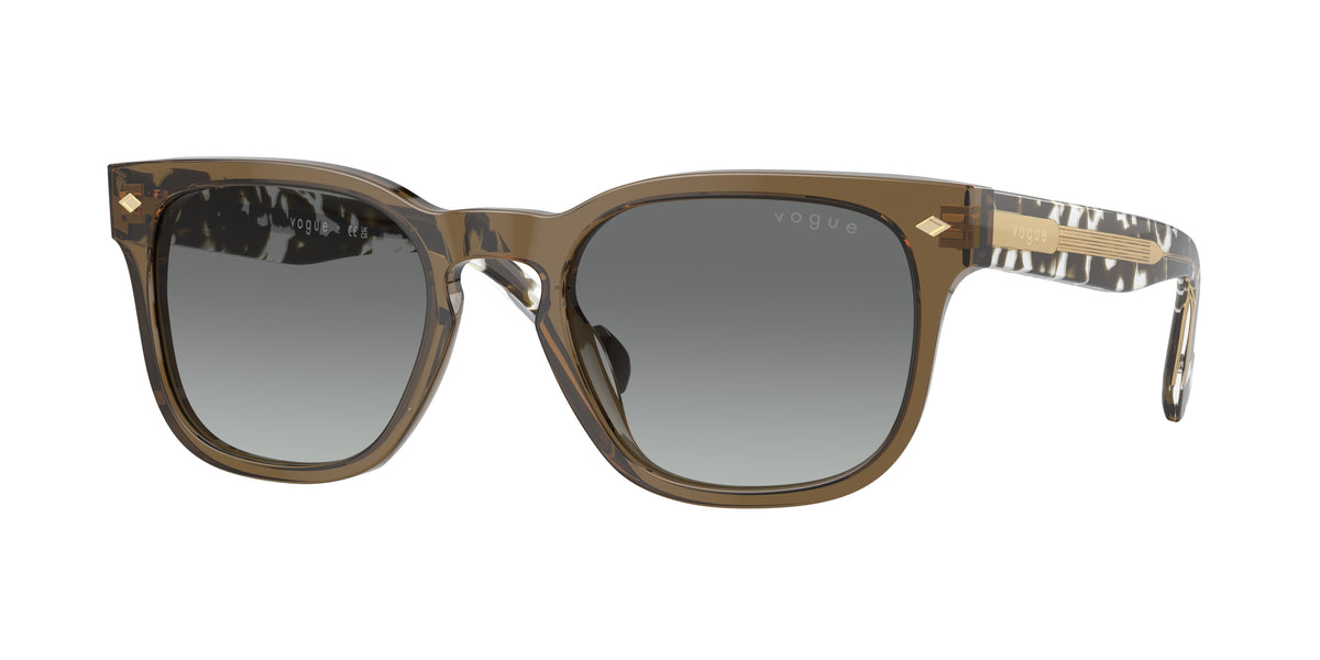 Vogue Eyewear VO5571S Transparent Olive Green Sunglasses