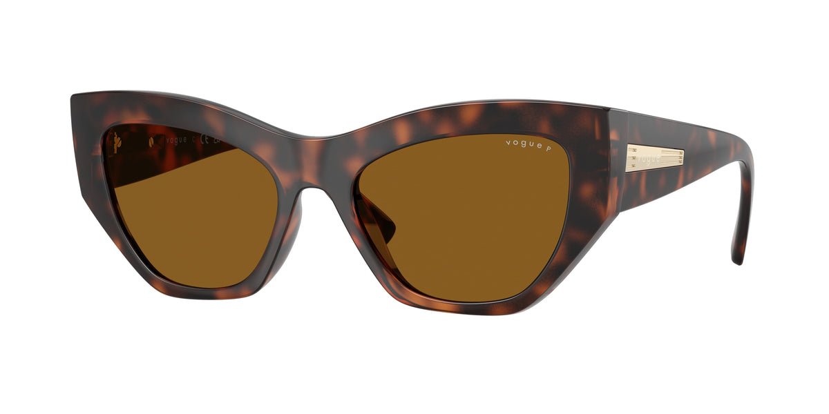 Vogue Eyewear VO5607S Total Dark Havana Sunglasses