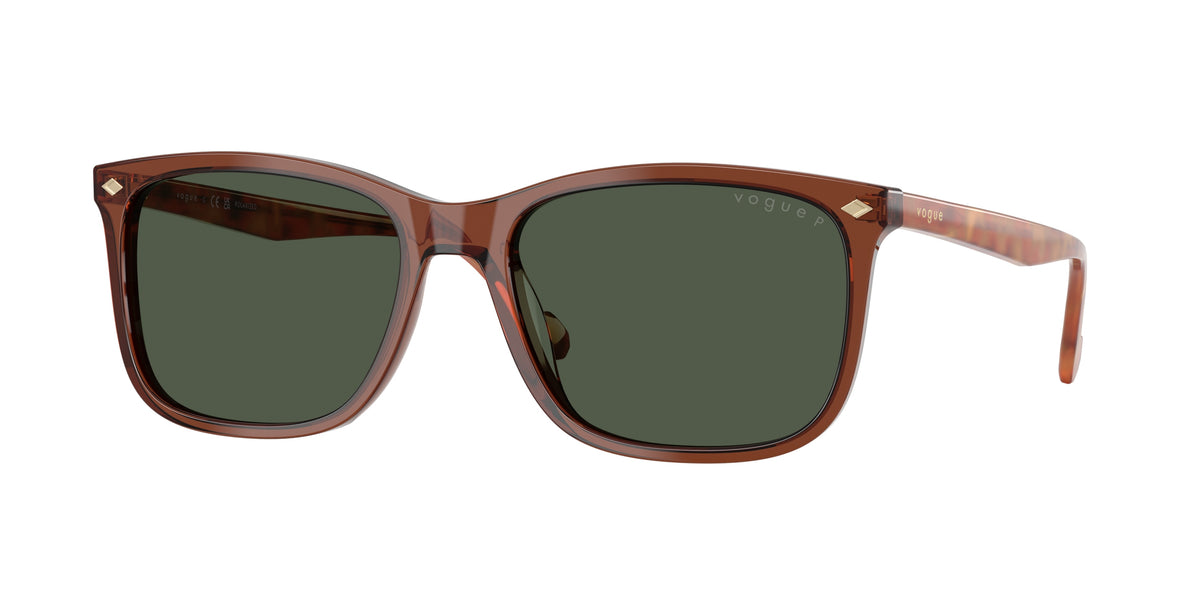 Vogue Eyewear VO5618S Transparent Brown Sunglasses