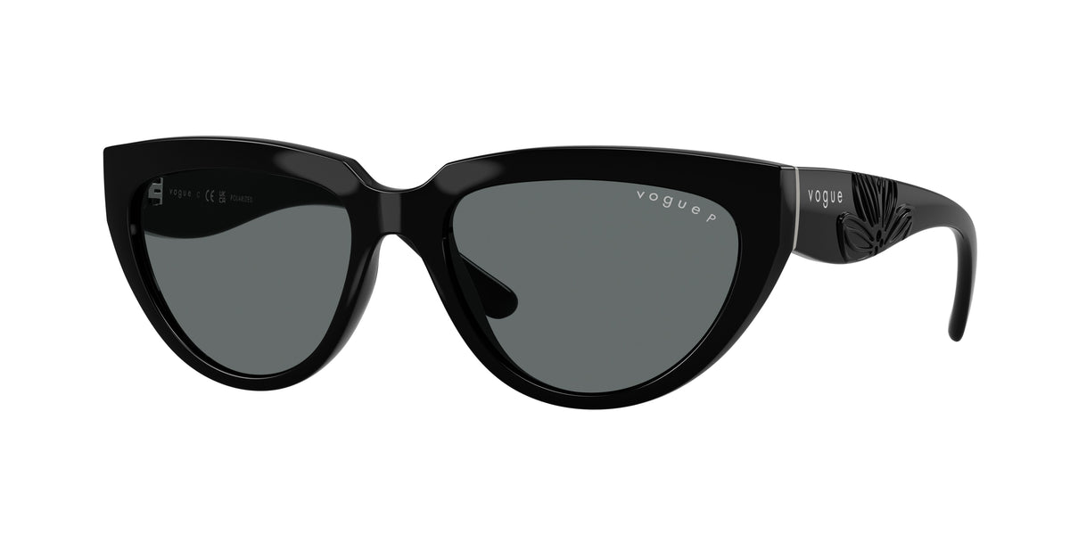 Vogue Eyewear VO5629S Black Sunglasses