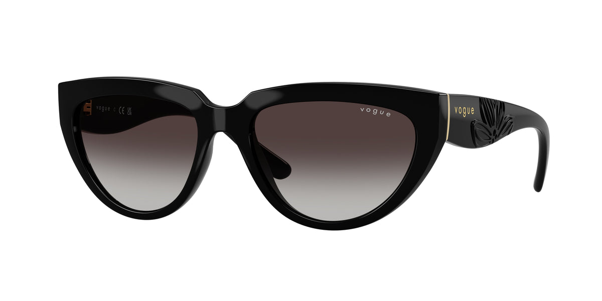 Vogue Eyewear VO5629S Black Sunglasses