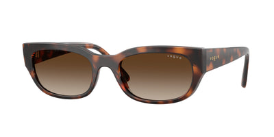 Vogue Eyewear VO5669S Sunglasses
