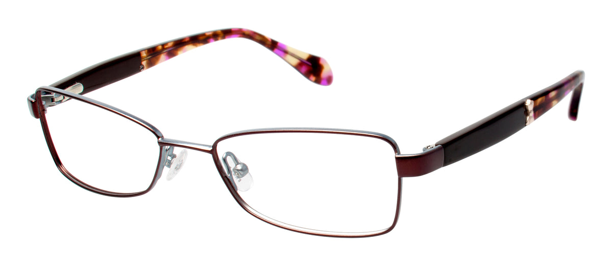Ted Baker Optical B228 Brown