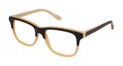 LAMB Optical LA016 LARA Tortoise Gold