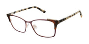 Ted Baker Optical B245 Brown