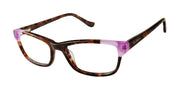 Ted Baker Kids B959 Havana/Purple