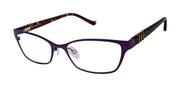 Tura R566 Eggplant