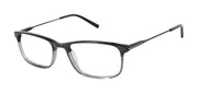 Geoffrey Beene Optical G530 GREY HORN