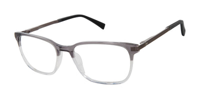 Ted Baker Optical TFM007
