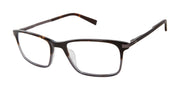 Ted Baker Optical TXL004 Tortoise Grey