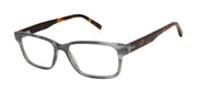 Ted Baker Optical BIO894 Grey Horn