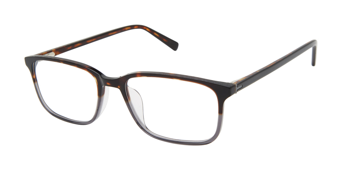 Ted Baker Optical TMUF003 Tortoise Grey