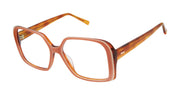 Ted Baker Optical TW011 Blush