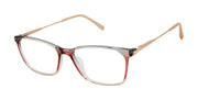 Ted Baker Optical TFW009 Grey Blush