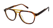 Ted Baker Optical TM012 Tortoise Olive