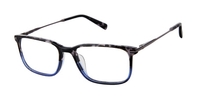 Ted Baker Optical TMUF006