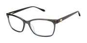 Lulu Optical L244 Grey/Blue