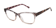 Ted Baker Optical TW021 Grey
